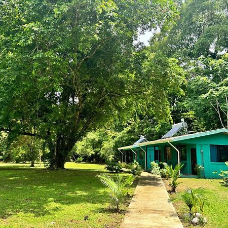 The Secret Eco Lodge Tortuguero Exterior photo