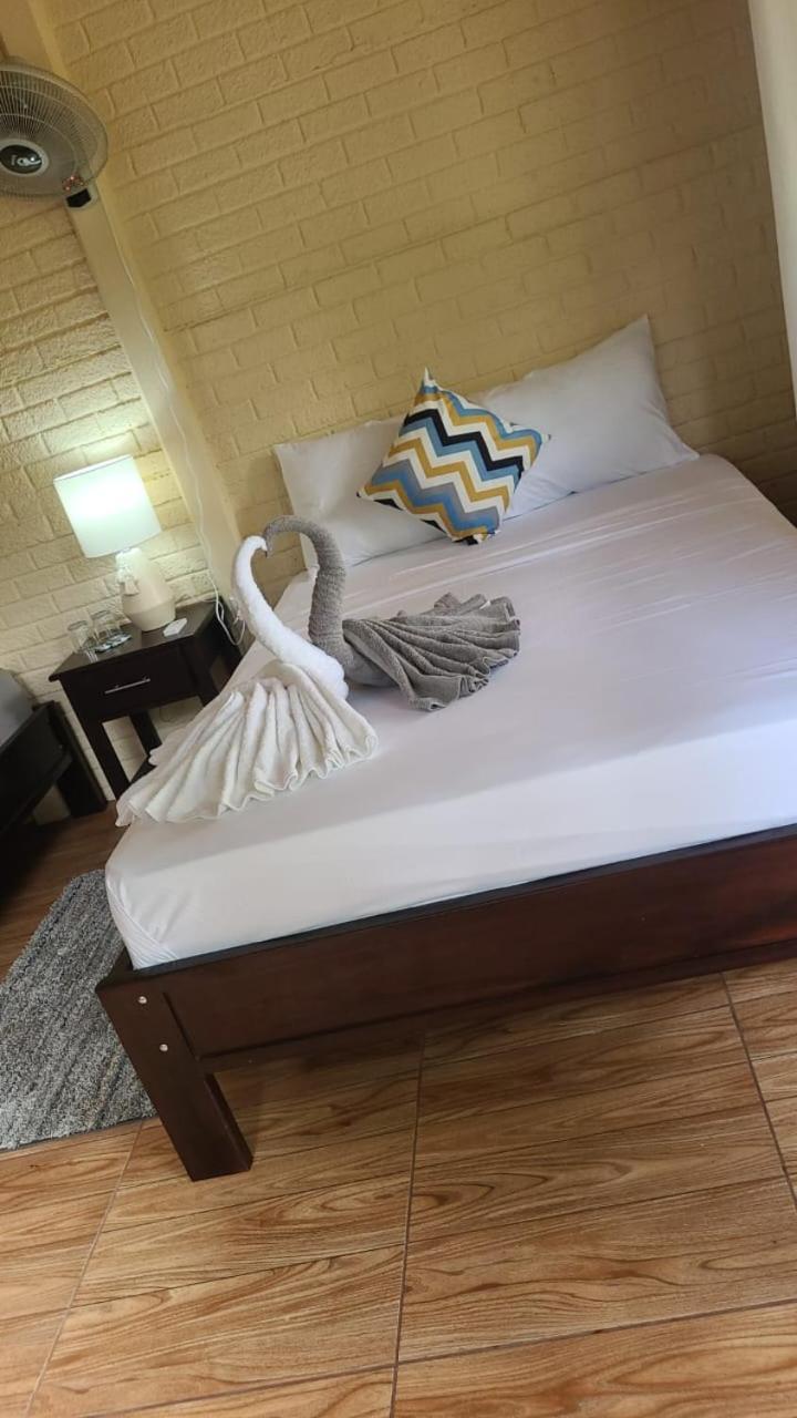 The Secret Eco Lodge Tortuguero Room photo