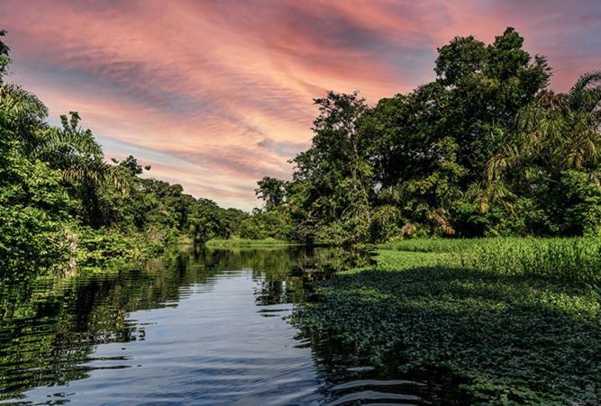 The Secret Eco Lodge Tortuguero Exterior photo