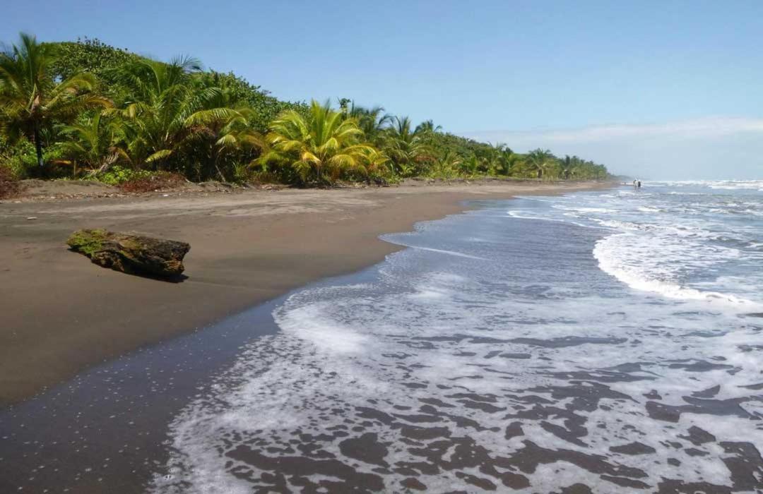The Secret Eco Lodge Tortuguero Exterior photo