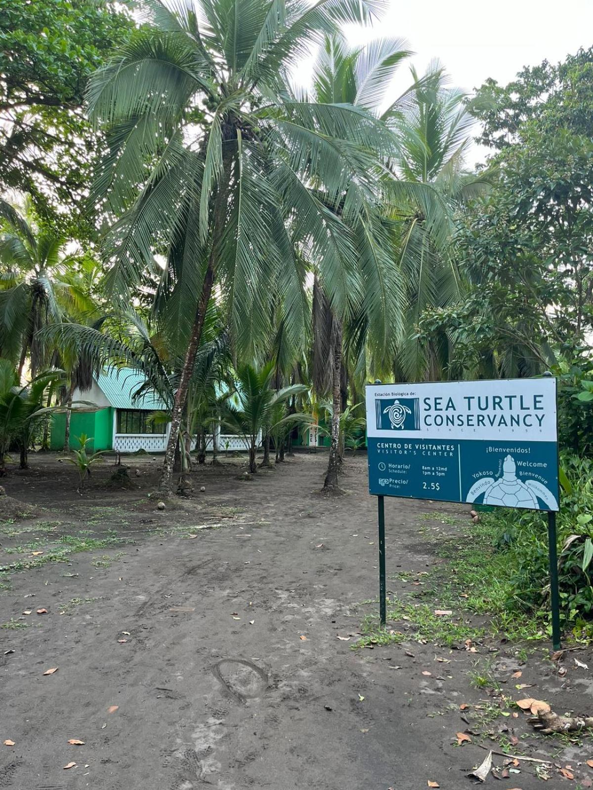 The Secret Eco Lodge Tortuguero Exterior photo