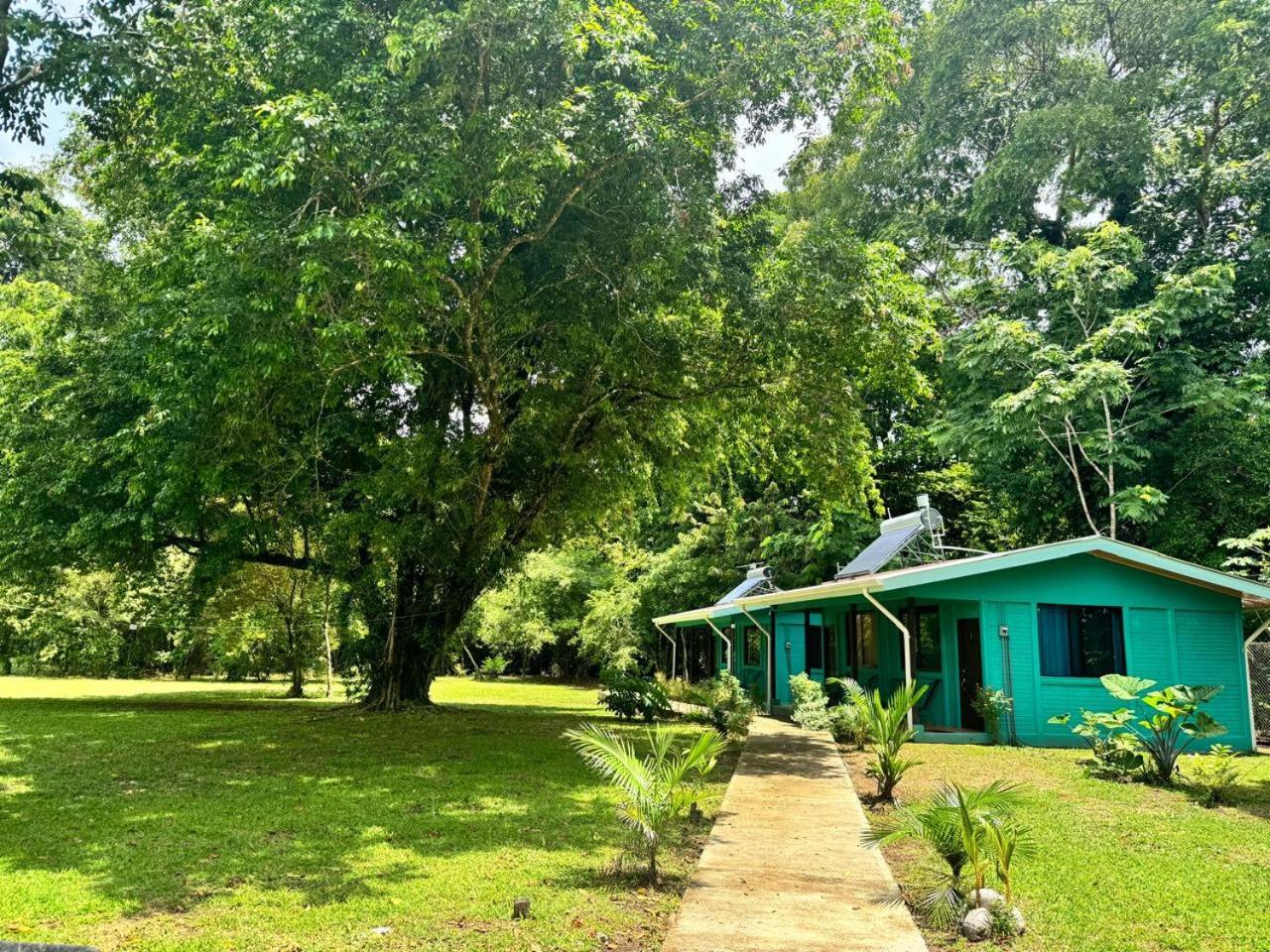 The Secret Eco Lodge Tortuguero Exterior photo