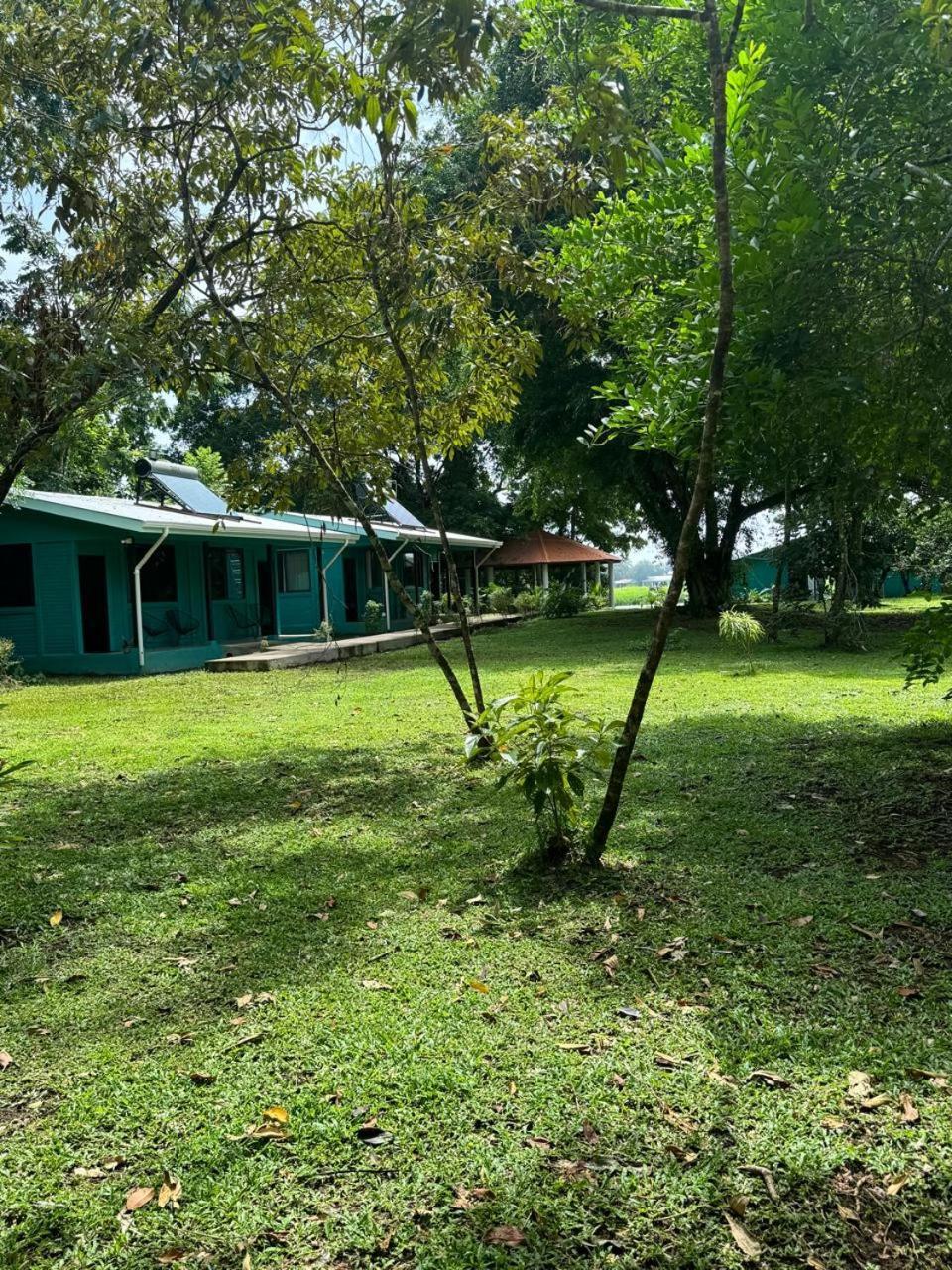 The Secret Eco Lodge Tortuguero Exterior photo